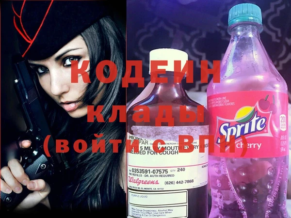 СК Няндома