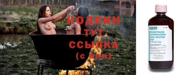 СК Няндома